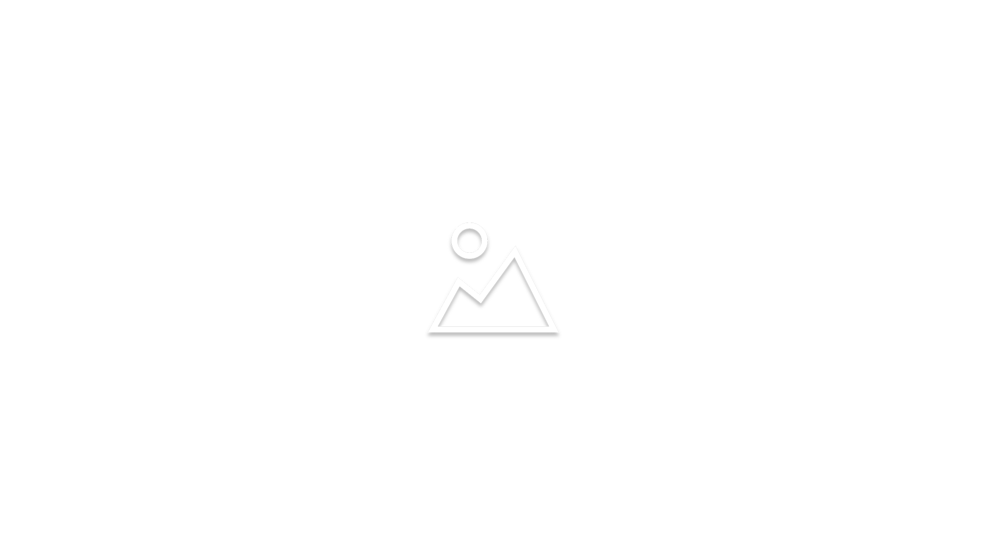 03019